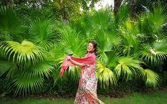 羞羞漫画入口弹窗页面秋蝉